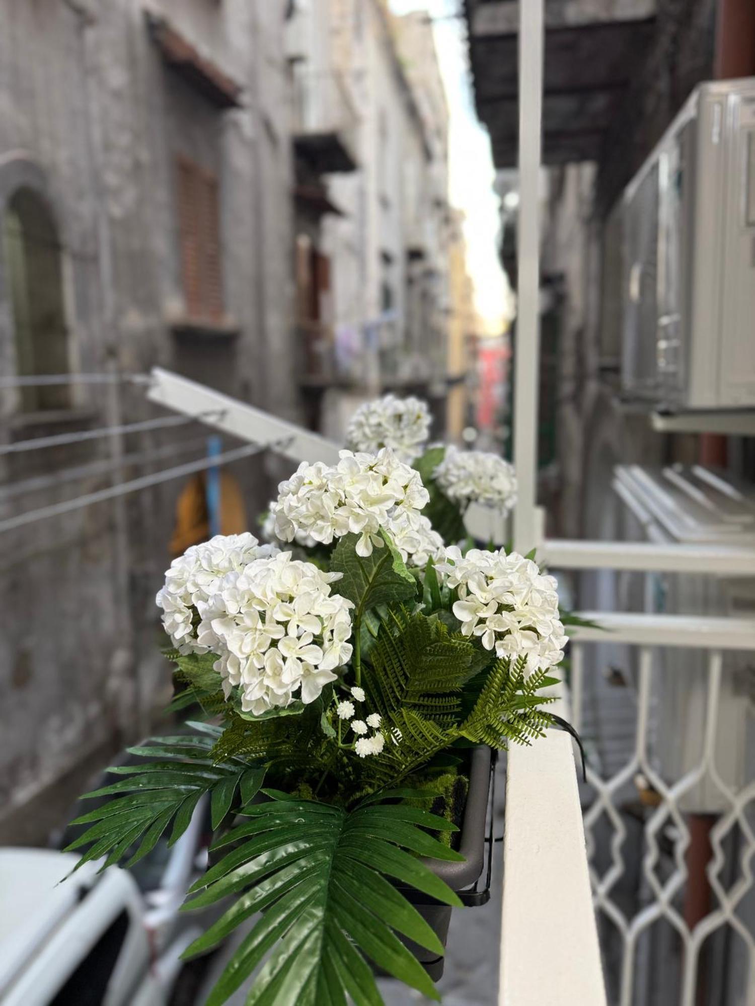 Dea Maison Parthenope *